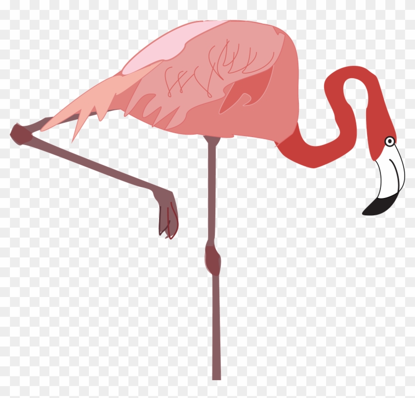 Flamingo - Water Bird #1131430