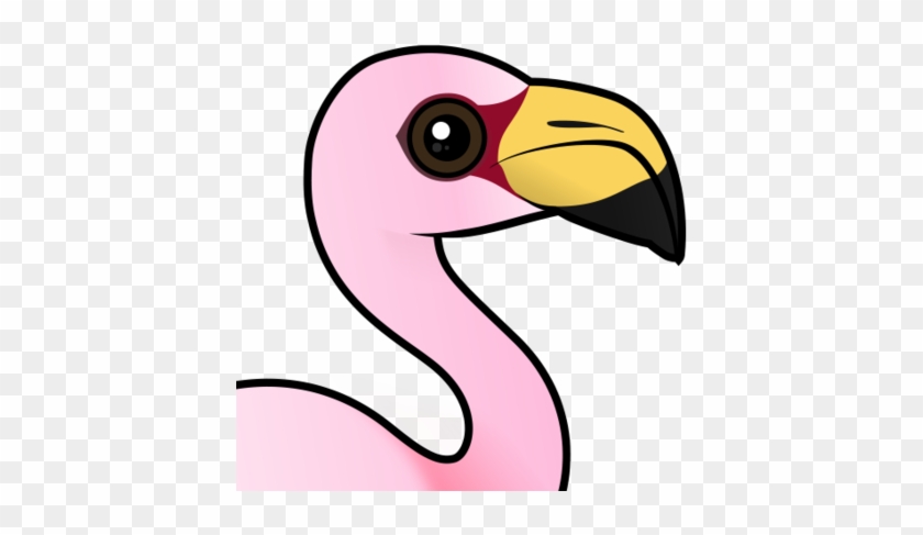 About The James's Flamingo - James's Flamingo #1131433