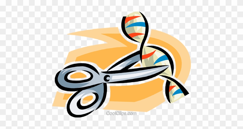 Scissors Cutting Dna Royalty Free Vector Clip Art Illustration - Cut Dna Png #1131697