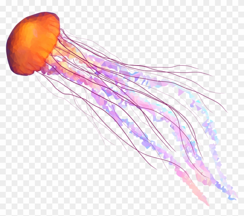 Emmasimoncic - Tumblr - Com - Low Poly Jellyfish Illustration - Jelly Fish Png #1131806