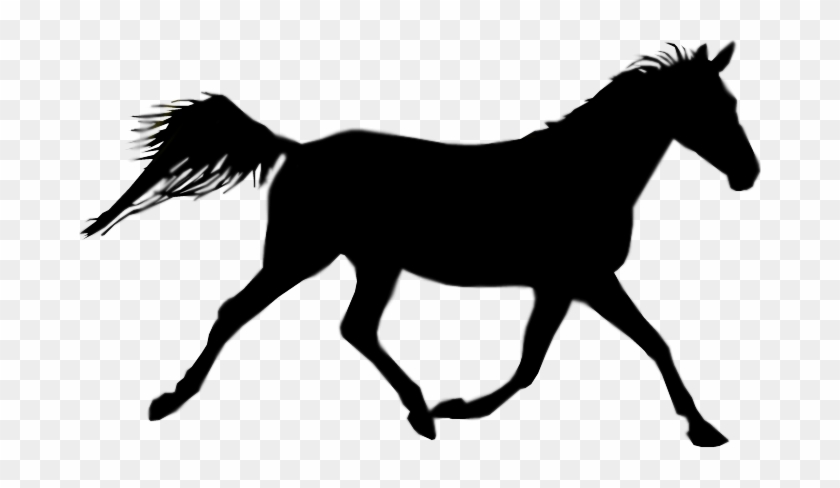 Three Shadow Horses - Horse Shadow Png #1132016