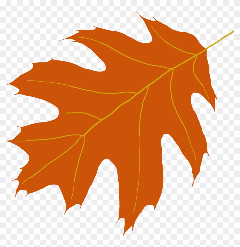 Oak Tree Leaf Clipart - Oak Leaves Clip Art #1132160
