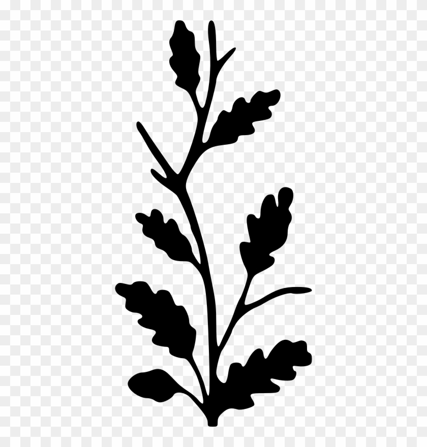 Oak Tree Silhouette Png For Kids - Branch Silhouette #1132167