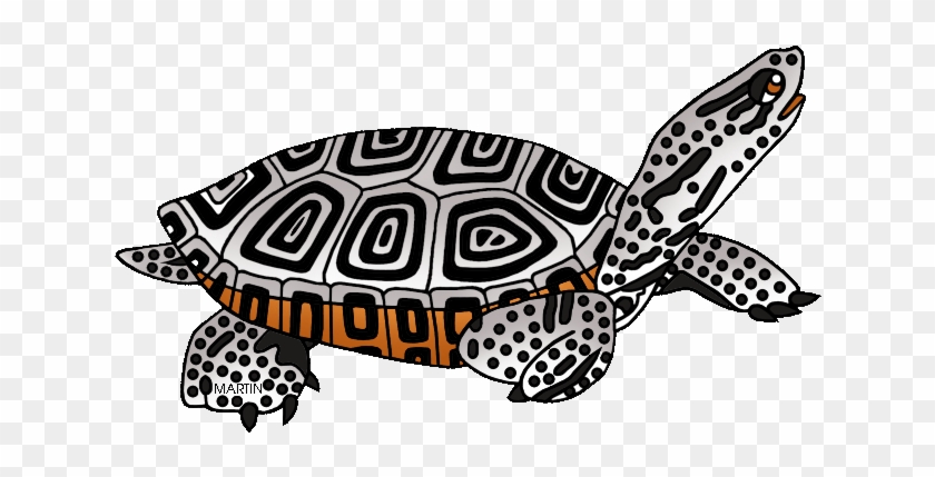 Terrapin Clipart - - Painted Turtle #1132231