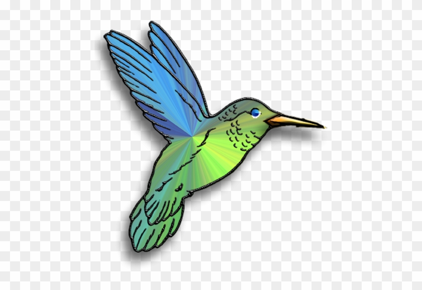 Hummingbird Clipart Clipart Kid 2 - Ruby-throated Hummingbird #1132324