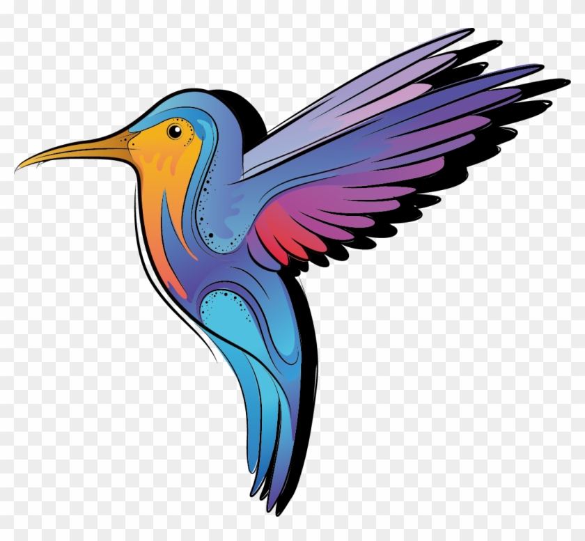 Hummingbird Color Cartoon - Illustration #1132336