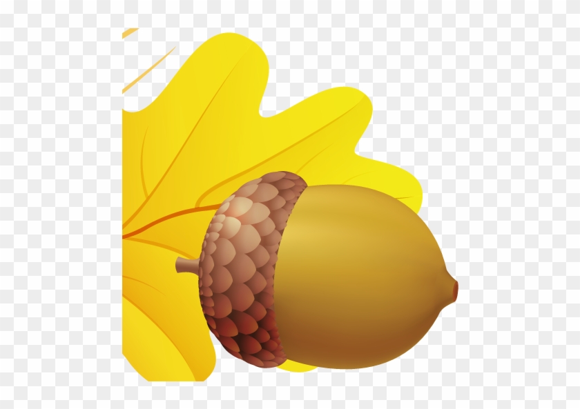 Acorn Png Image - Желудь Рисунок Для Детей #1132358