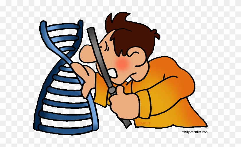 Forensic Science Clip Art At Clker - Genes Clip Art #1132360