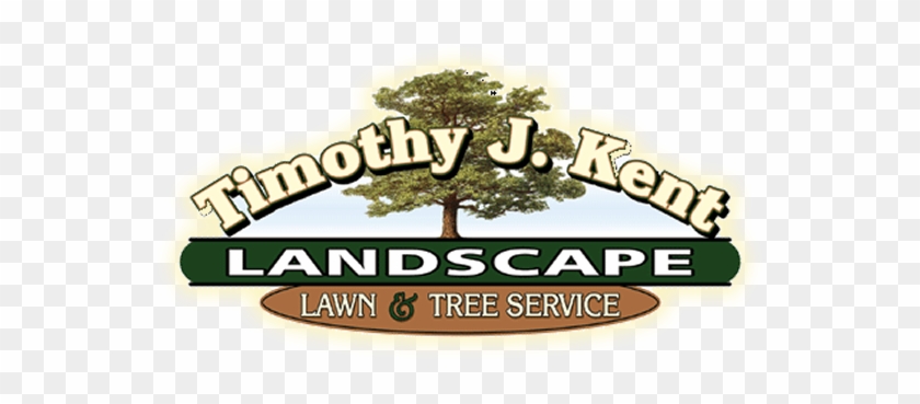 Timothy J Kent Cape Cod Lawn Care Rh Tjkentlandscaping - Landscaping And Tree Service Logo #1132390
