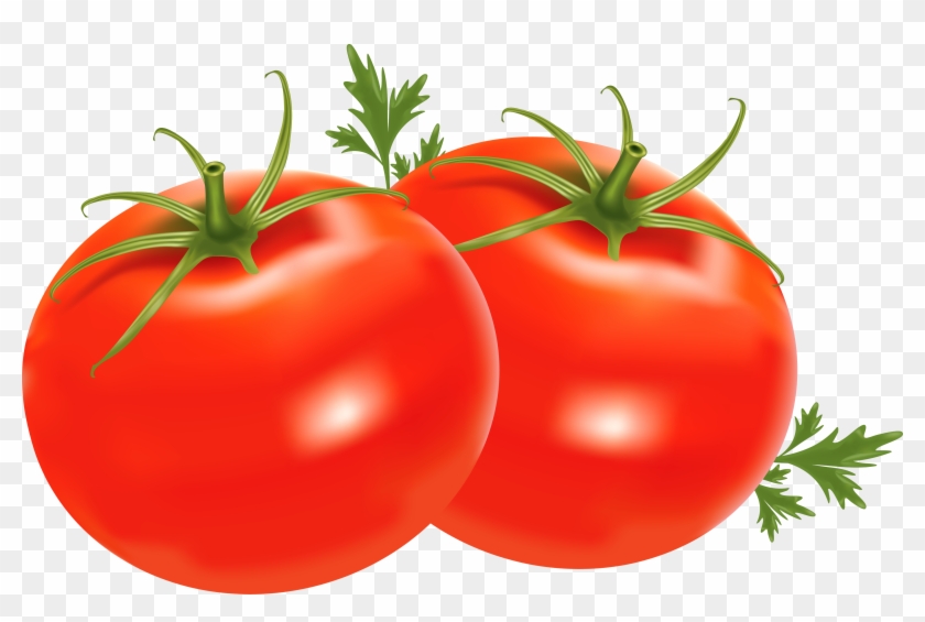 Tomato Clipart No Backround Clipground - Vegetables #1132607