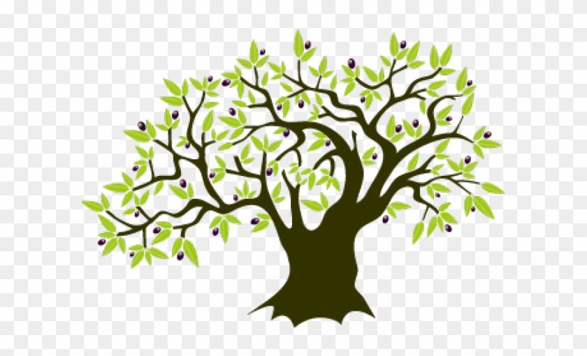 Olive Tree Clipart - Grafted In Israel Gentiles Amp The Mystery #1132632