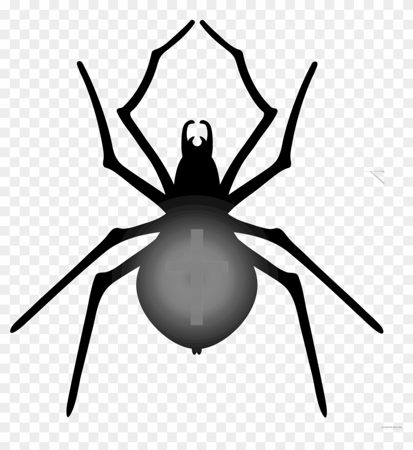 Halloween Spider Animal Free Black White Clipart Images - Clip Art #1132639