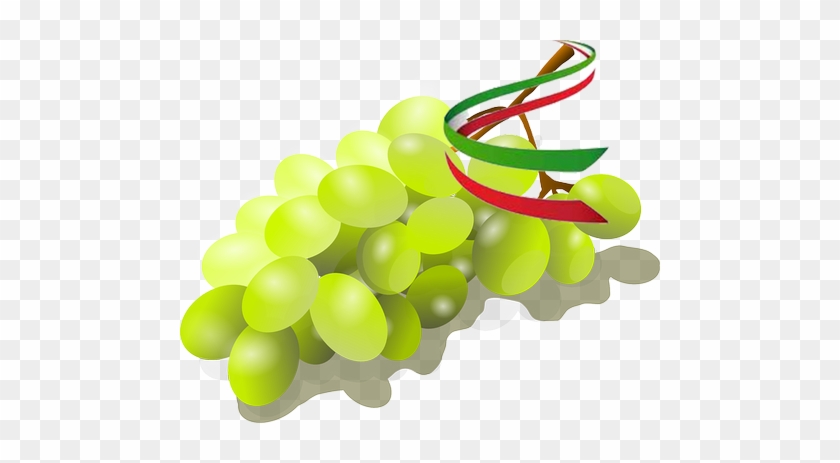 Grapes Clipart Uva - Grape #1132663