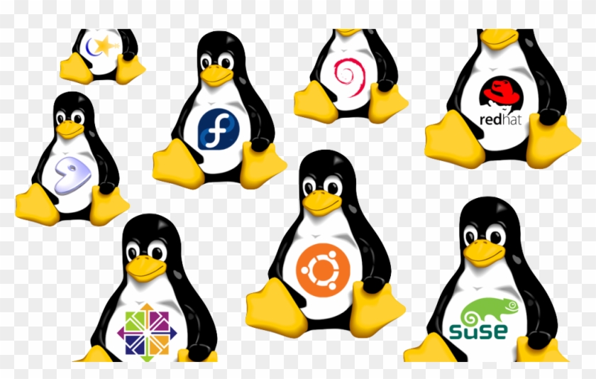 A Primer For Big Data - Linux Distributions Png #1132757