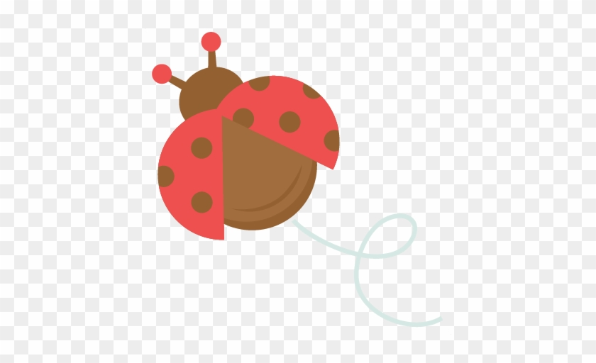 Ladybug - Ladybug #1133296