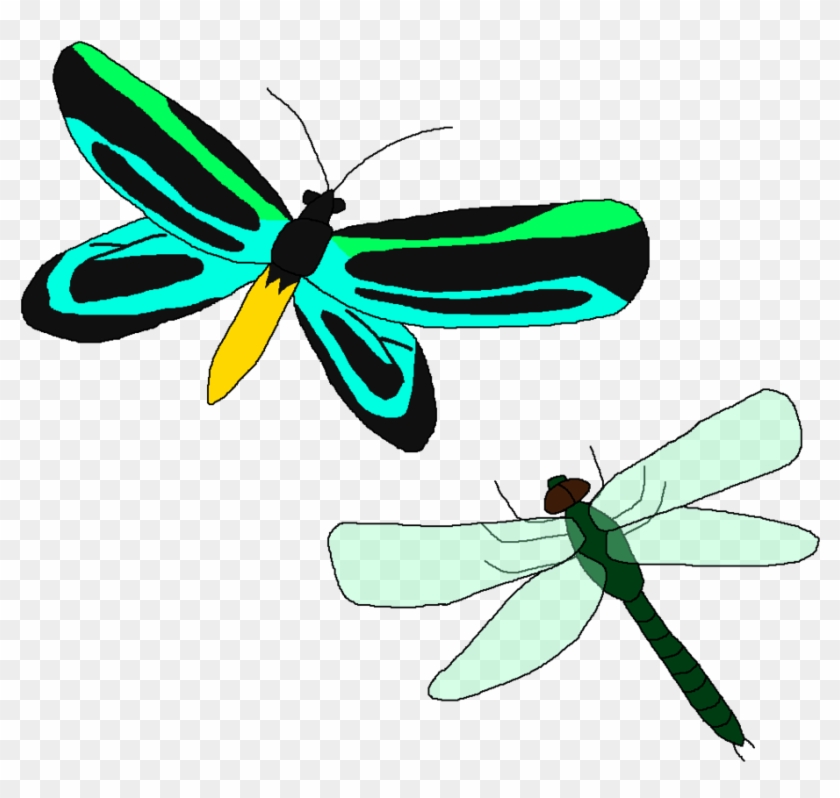 Giant Flying Bugs By Wildandnaturefan - Fly #1134322