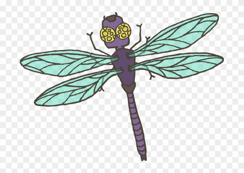 Bugs Is Here To Help Reach Your Dreams Of Smashing - Damselfly #1134388