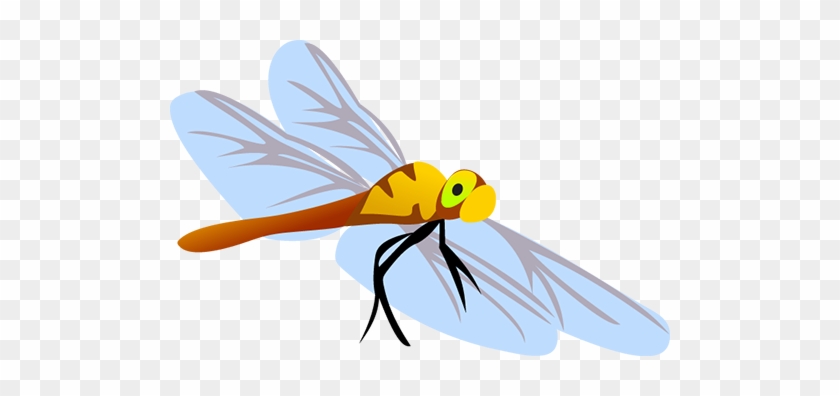 Firefly - Butterfly Vector Free #1134391