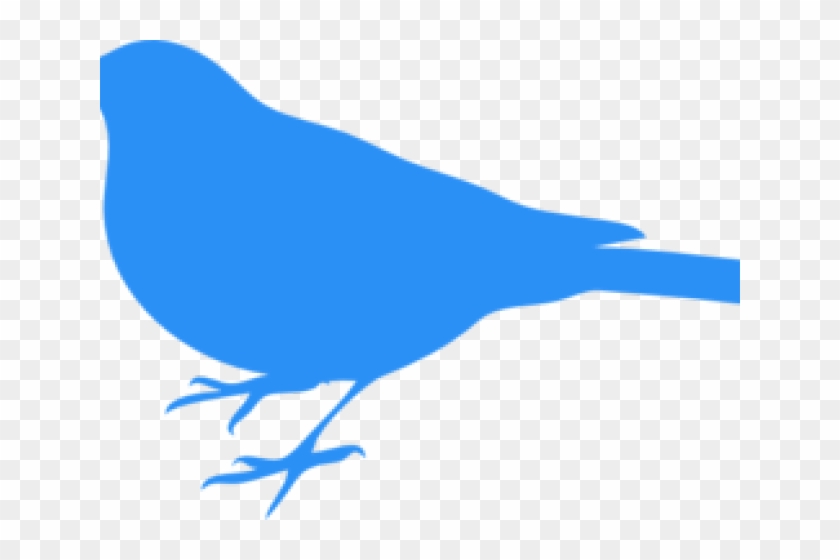Baby Clipart Blue Bird - Bird Silhouette Clip Art #1134505