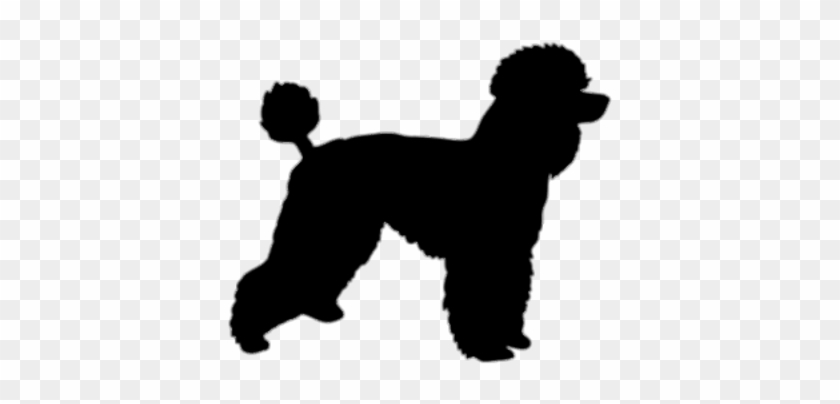 Poodle Silhouette Png #1134537