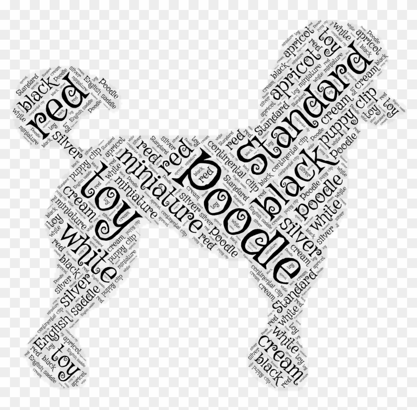 Poodles, Poodle, Cockapoo - Ancient Dog Breeds #1134574