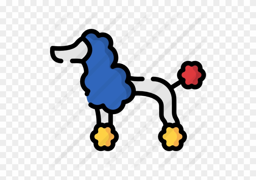 Poodle - Poodle #1134618