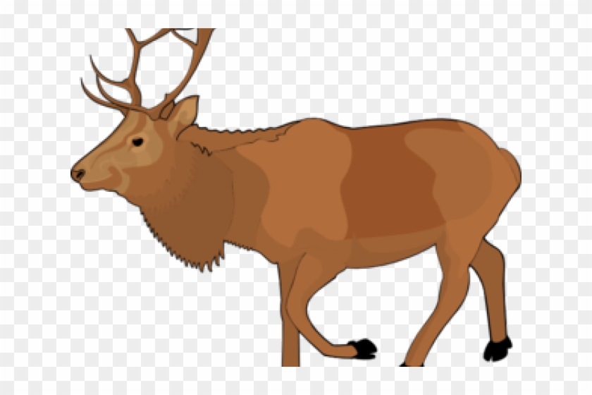 Free Clipart Reindeer - Animated Elk #1134740