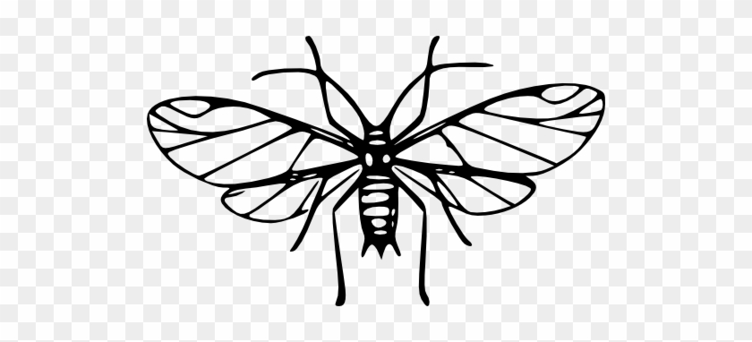 Pea Aphis - Mosquitoes Clipart Black And White #1134748