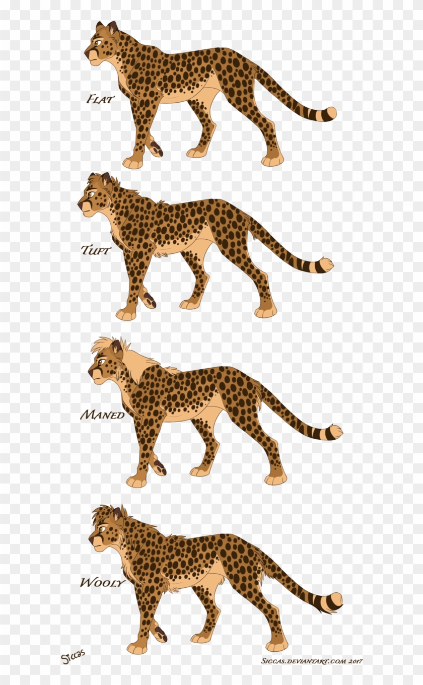 Cheetah Chart Ii By Siccas - Cheetah #1134816