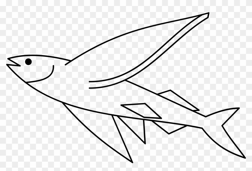 Flying Fish Negative By Ribbla - Flying Fish #1134910