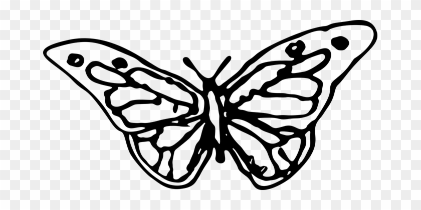 Animals Butterfly Flying Insect Silhouette - Butterfly Hand Drawn Icon #1135133
