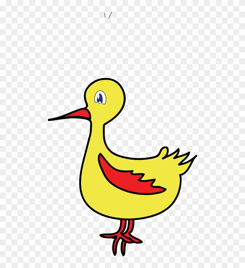 Duck #1135139