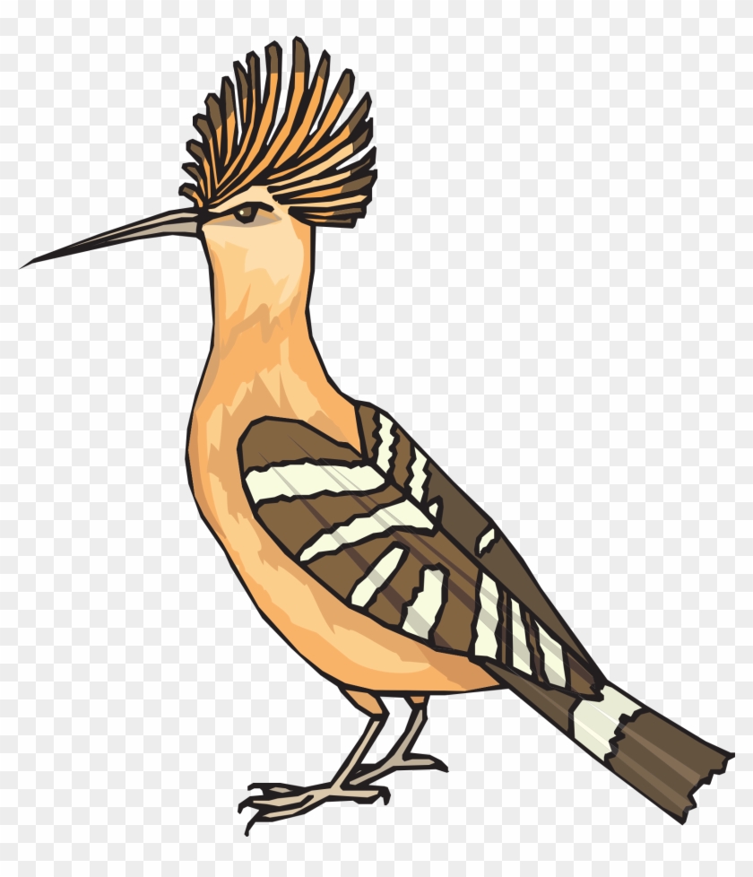 Bird Eurasian Hoopoe Drawing African Hoopoe Clip Art - نقاشی هد هد برای کودکان #1135150