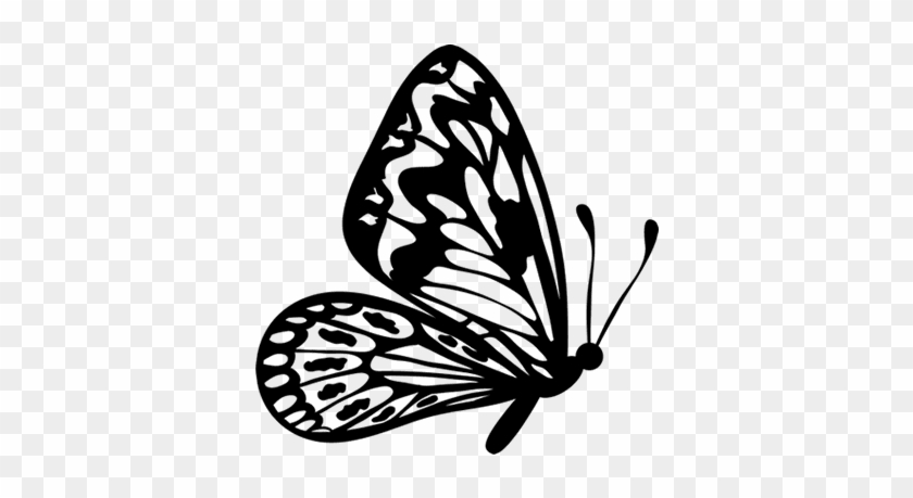 Flying Butterfly Outline Clipart - Black And White Butterfly Png #1135152
