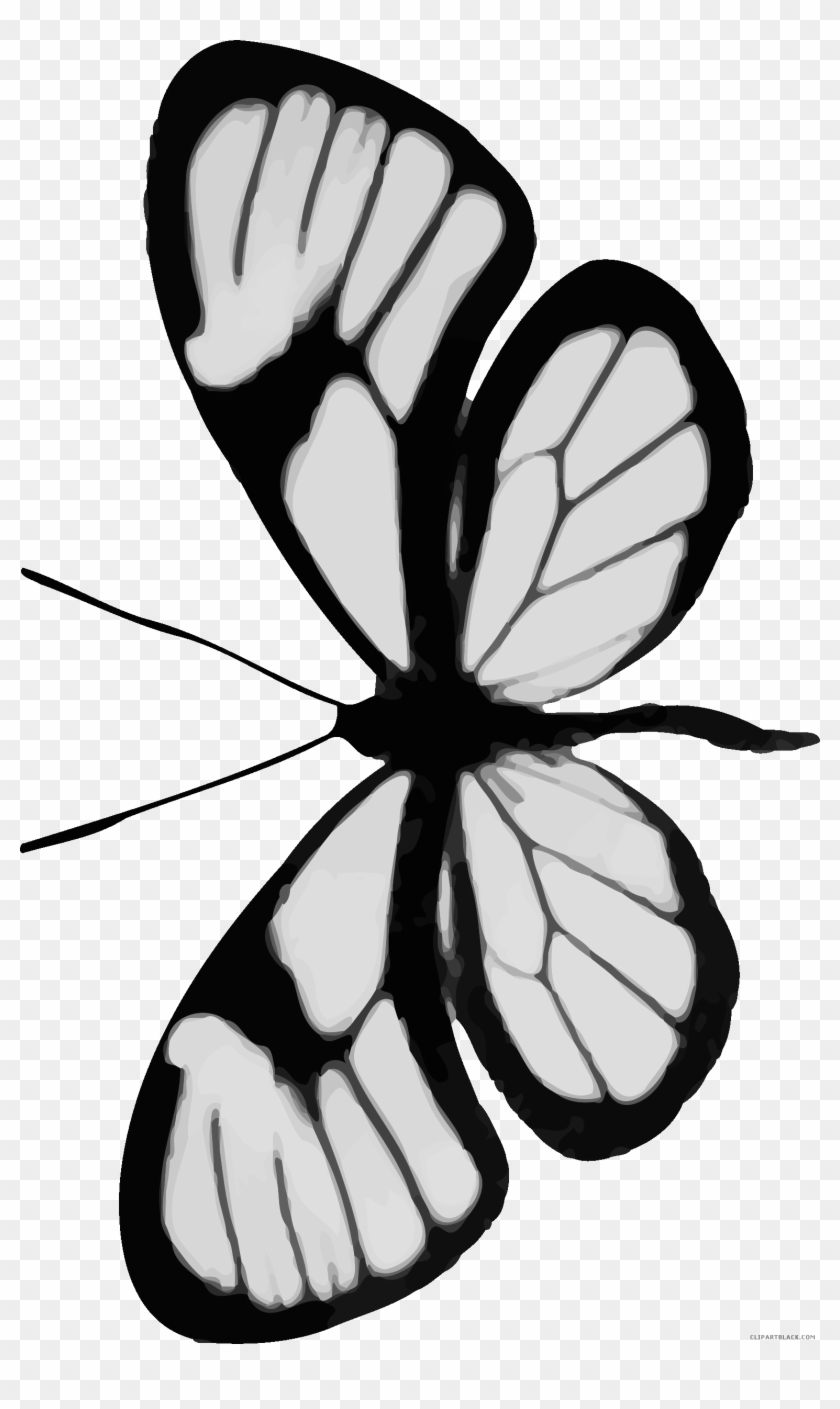 Grayscale Butterfly Animal Free Black White Clipart - Portable Network Graphics #1135164
