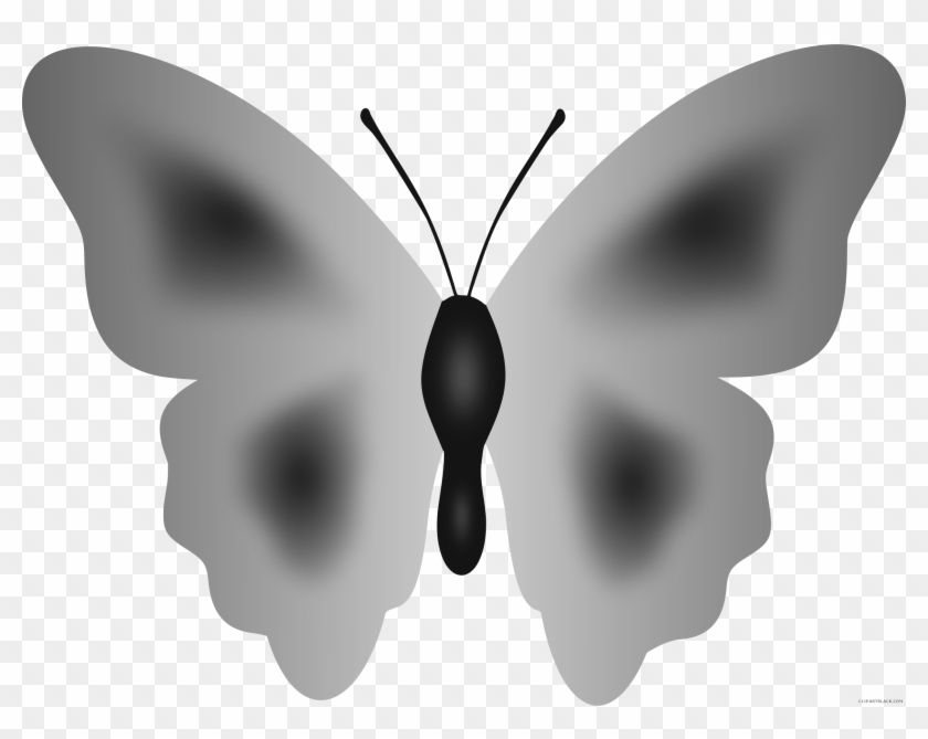 Grayscale Butterfly Animal Free Black White Clipart - Short-tailed Blue #1135172