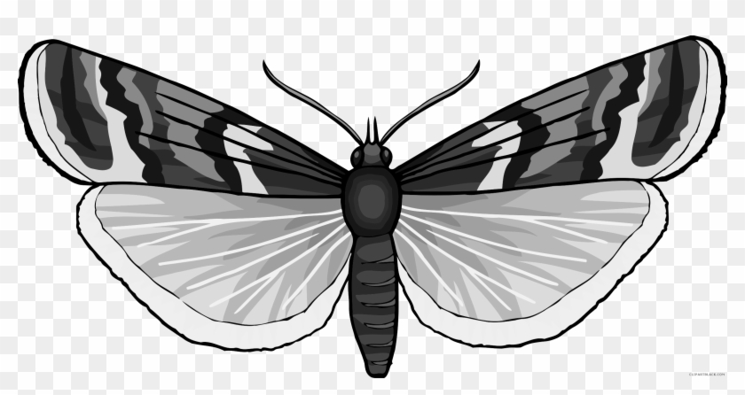 Grayscale Butterfly Animal Free Black White Clipart - Swallowtail Butterfly #1135190