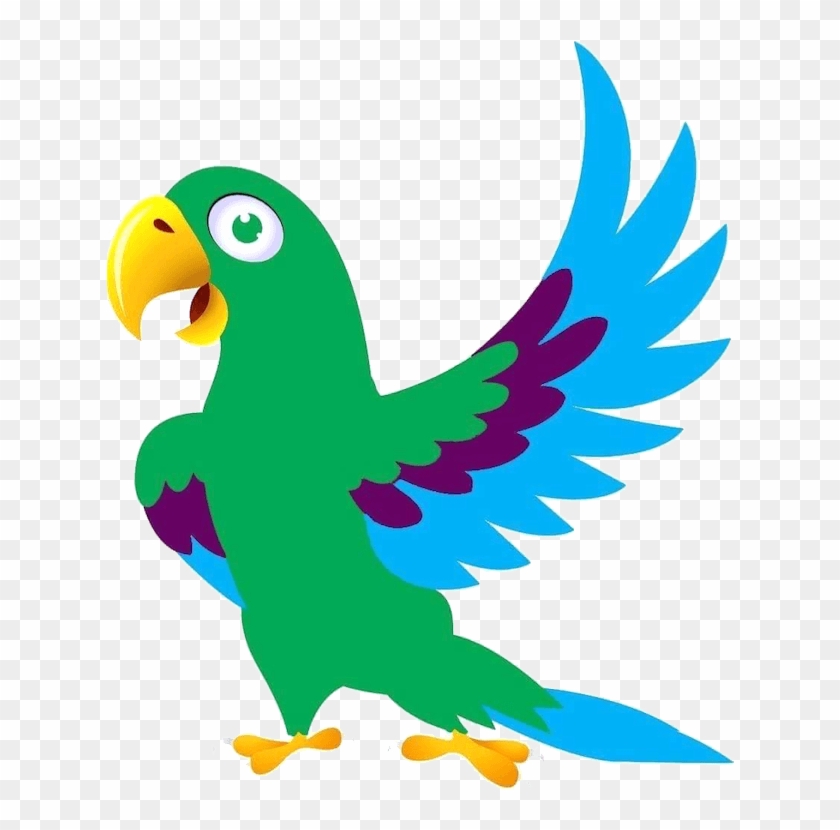 Rdm Parrots & Supplies Illawarra - Cartoon Images Of Birds #1135516