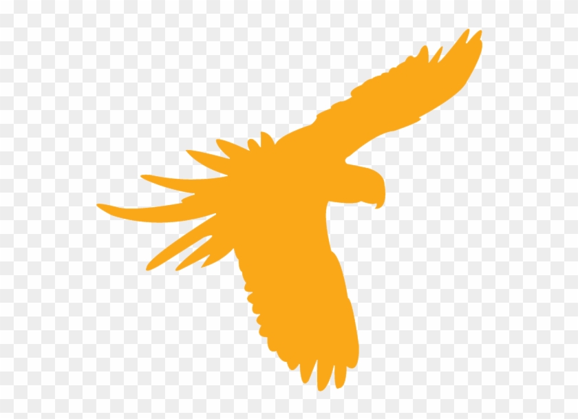 1 In 3 Species Are Under Threat - 1 In 3 Species Are Under Threat #1135534