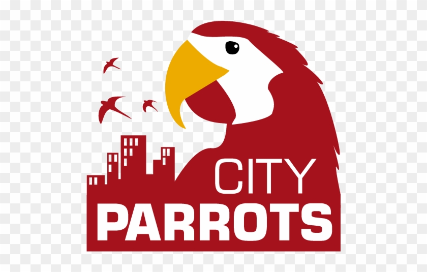 Parrot Clipart Mexican - Parrots #1135542