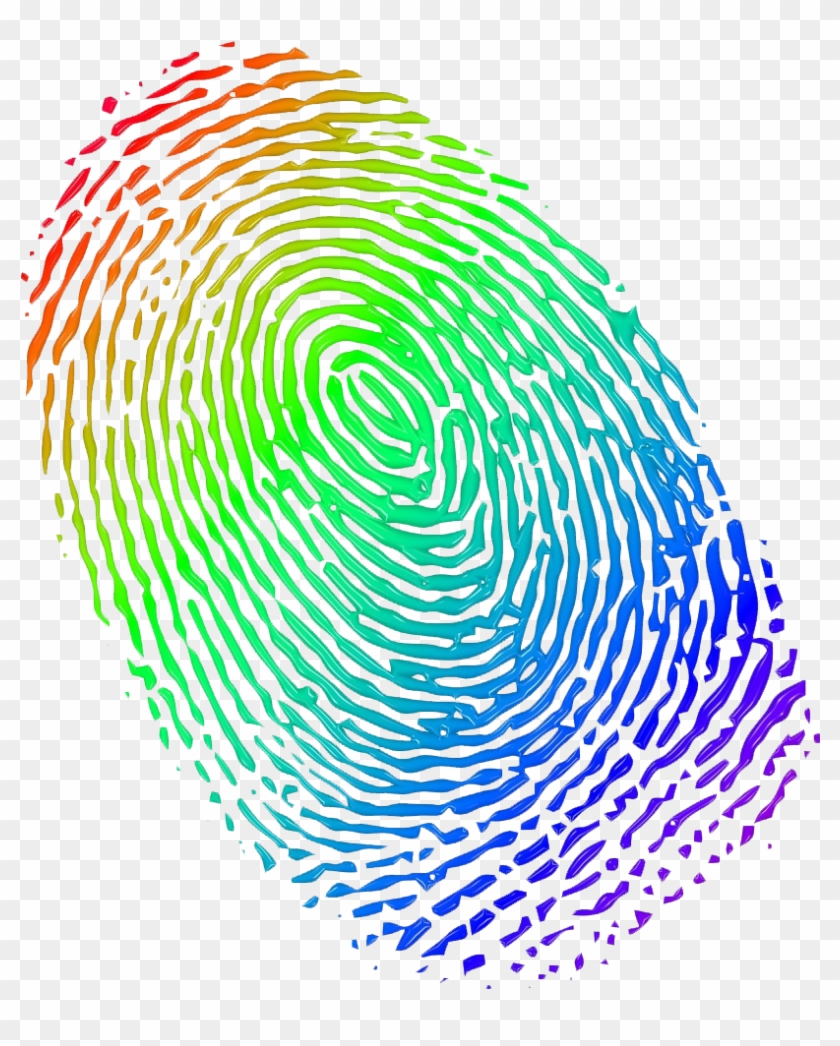 Fingerprint Colorful Png - Fingerprint Png #1136139