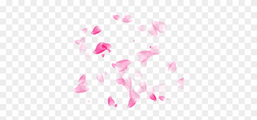 Flower Petal, Flower Petal, Flower, Petal Png And Psd - Flower Petals Transparent Background #1136143