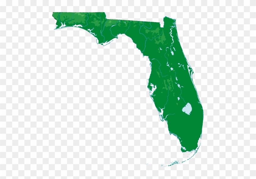 Insurance Brokers - Does The Florida Manatee Live - Full Size PNG