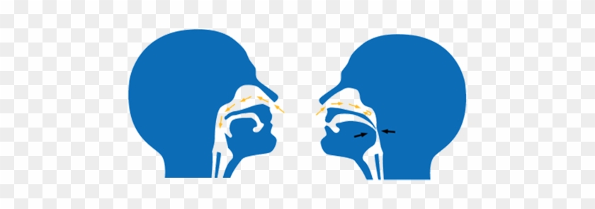 Identifying Sleep Apnea At Integrative Family Dentistry - Identifying Sleep Apnea At Integrative Family Dentistry #1136537