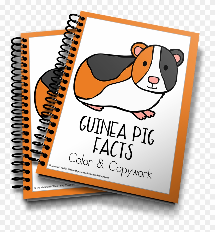 Guinea Pig - Captured Memories Workbook: Looking Back [book] #1136725