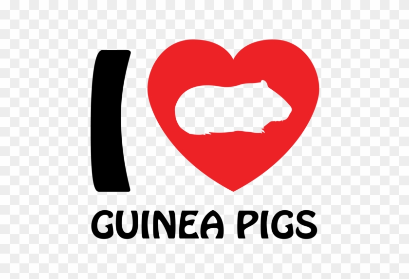 Love Guinea Pigs - Guinea Pig Shirt #1136729