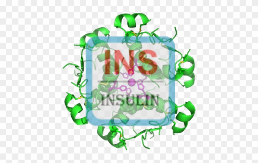Insulin Antibody (pab) - Beat The Street East Sussex #1136739