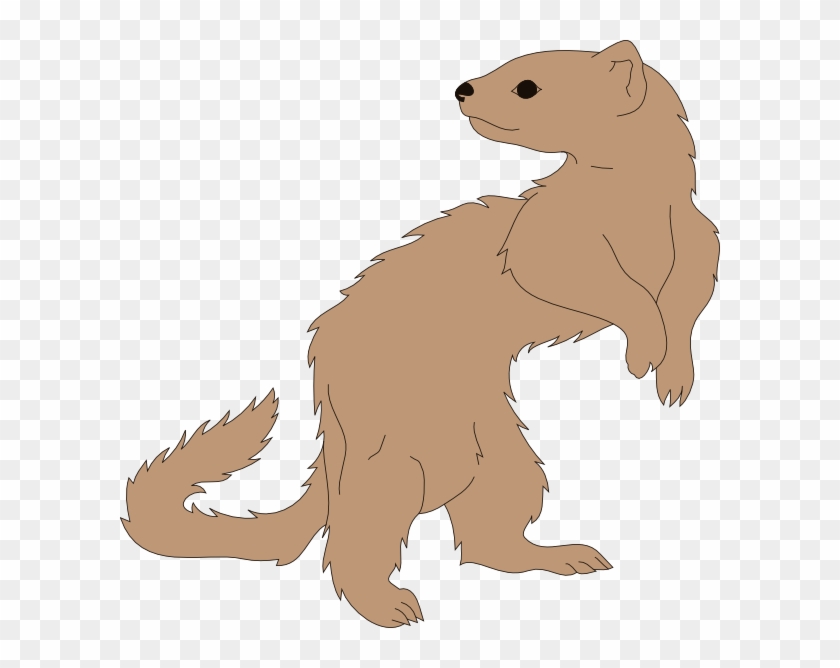 Clip Art Ferret #1136786