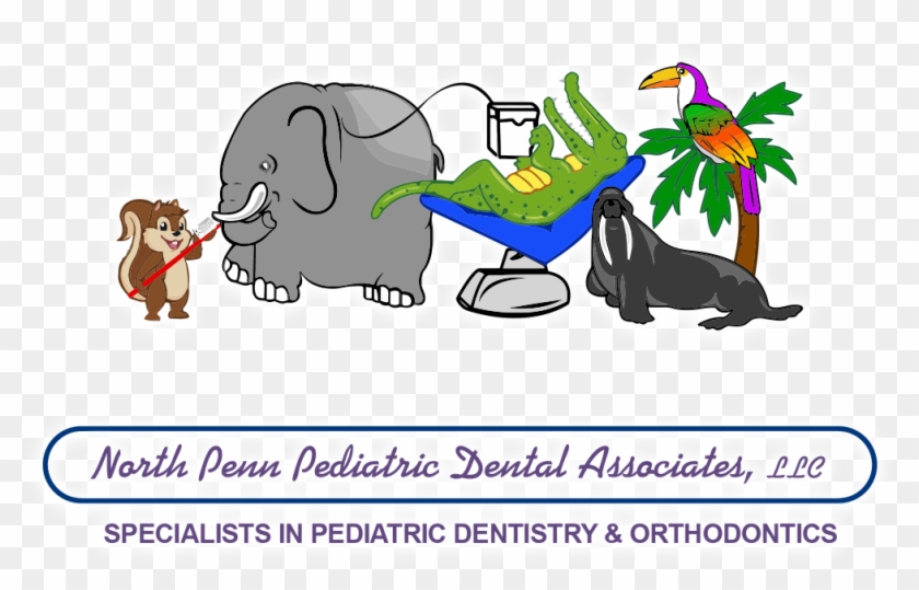 North Penn Pediatric Dental Associates #1137091