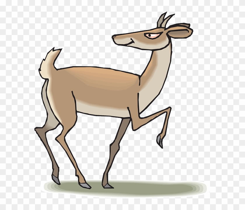Deer Moving Forwards But Looking Backwards - Antelope Clipart Png #1137832